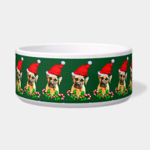 ブルマスティフ犬のクリスマス