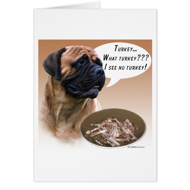 ブルマスティフ・トルコ (正面)