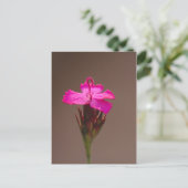 ブルムンルスフールデインリーブステン ポストカード (スタンド正面)