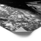 ブルムースに乗るテディルーズベルト ポスター (角)