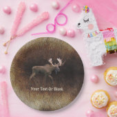 ブルムースオンカリブファー ペーパープレート (パーティー)