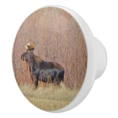 ブルムースカスタムセラミックノブ セラミックノブ (右)