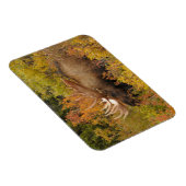 ブルムース |アラスカ,デナリ国立公園 マグネット (右側)