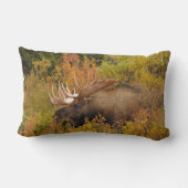 ブルムース |アラスカ,デナリ国立公園 ランバークッション (裏面)