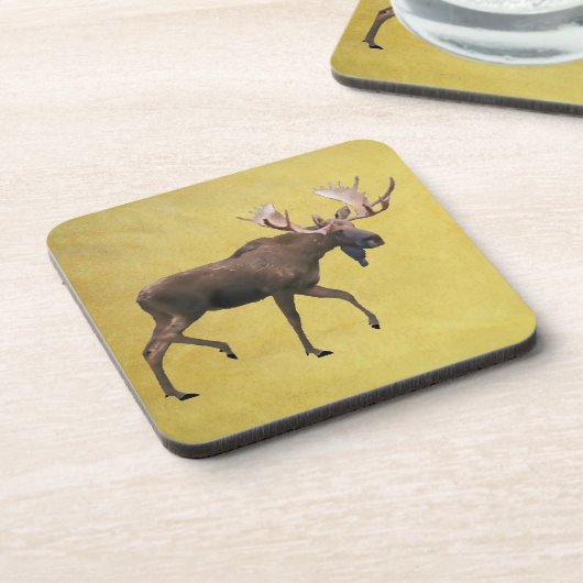 ブルムース コースター (左側)