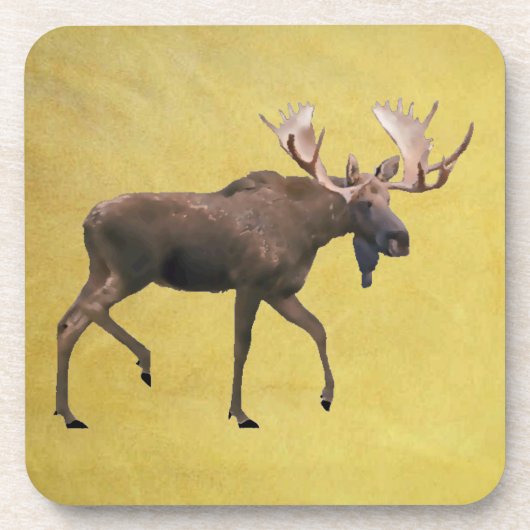 ブルムース コースター (正面)