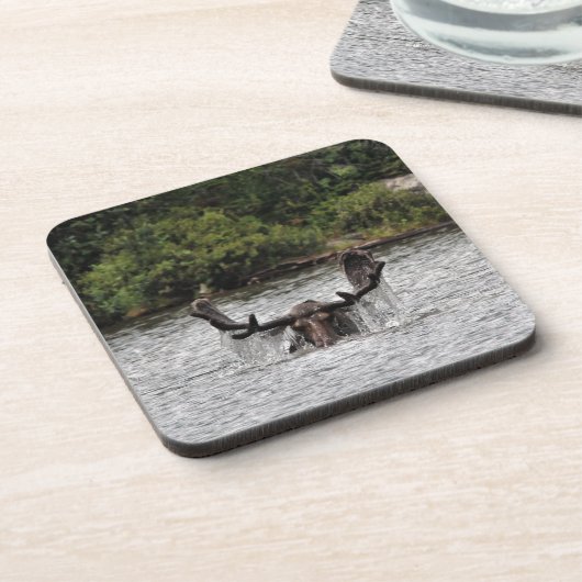 ブルムース コースター (左側)