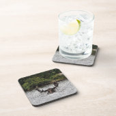 ブルムース コースター (右側)