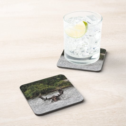 ブルムース コースター (右側)