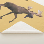 ブルムース シェルパブランケット (3/4)