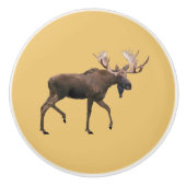 ブルムース セラミックノブ (正面)