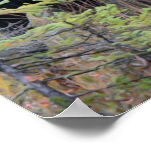 ブルムース ポスター (角)