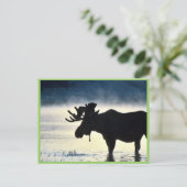 ブルムース ポストカード (スタンド正面)