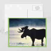 ブルムース ポストカード (正面/裏面)