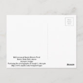 ブルムース ポストカード (裏面)