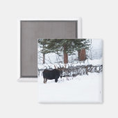 ブルムース マグネット (正面/裏面)