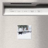 ブルムース マグネット (インサイチュ (食洗機))