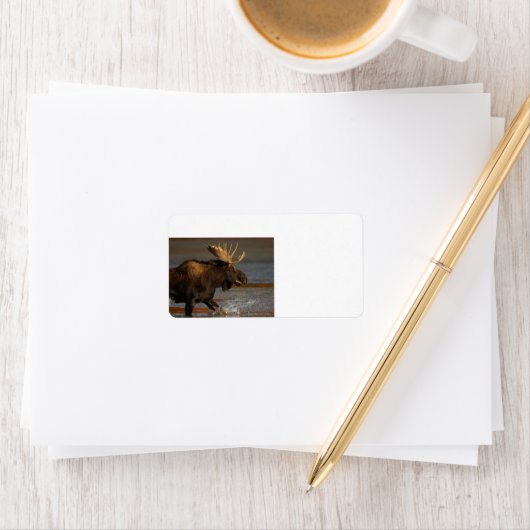 ブルムース ラベル (インサイチュ)