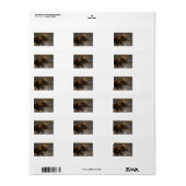 ブルムース ラベル (フルシート)