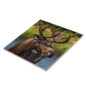 ブルムース | Glacier National Park Montana タイル (側面)