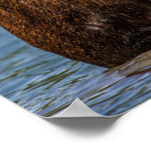 ブルムース | Glacier National Park Montana ポスター (角)