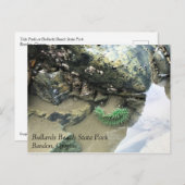 ブルヤードビーチ州パーク、バンドン、オレゴン ポストカード (正面/裏面)