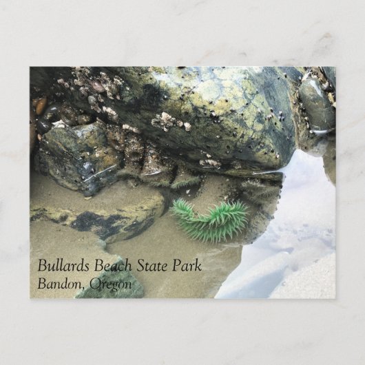 ブルヤードビーチ州パーク、バンドン、オレゴン ポストカード (正面)