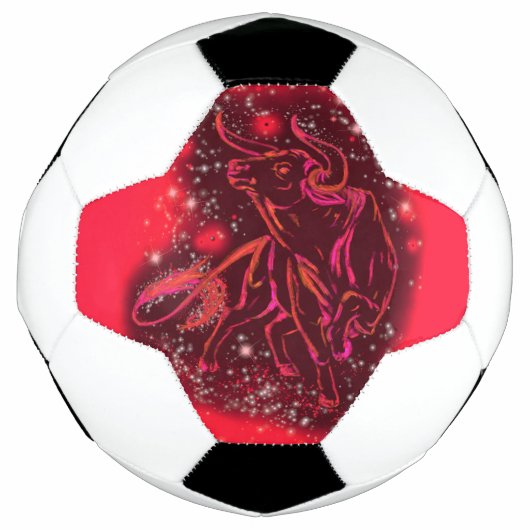 ブルランニングサッカーボール サッカーボール (正面)