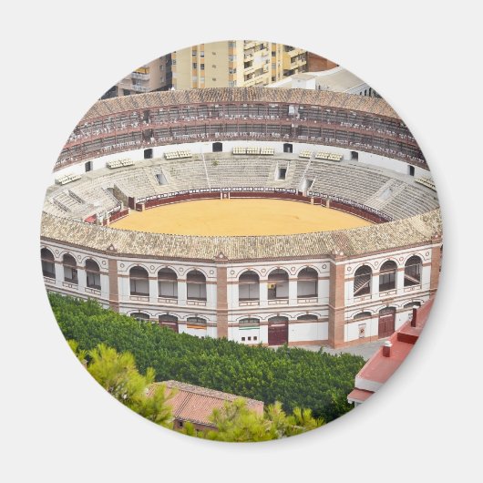 ブルリング マグネット (正面)