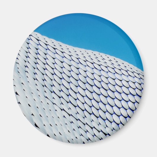 ブルリング マグネット (正面)