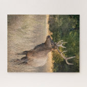 ブルルーズベルトエルクの芝生 |ワシントン州 ジグソーパズル (横)