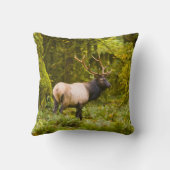 ブルルーズベルトエルク牧草地に立つ クッション (裏面)