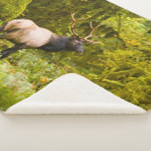 ブルルーズベルトエルク牧草地に立つ シェルパブランケット (3/4)