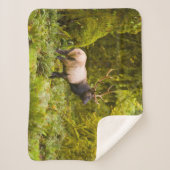 ブルルーズベルトエルク牧草地に立つ シェルパブランケット (正面)