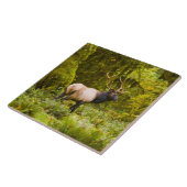 ブルルーズベルトエルク牧草地に立つ タイル (側面)