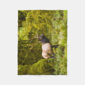 ブルルーズベルトエルク牧草地に立つ フリースブランケット (正面)