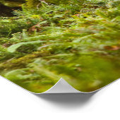 ブルルーズベルトエルク牧草地に立つ ポスター (角)