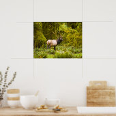 ブルルーズベルトエルク牧草地に立つ ポスター (キッチン)