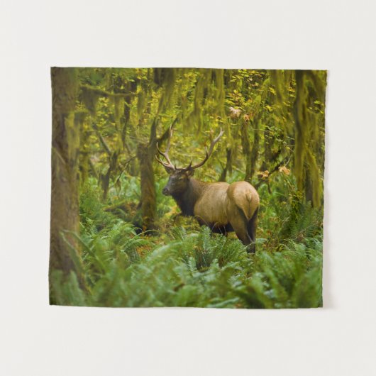 ブルルーズベルトエルク タペストリー (正面(横))