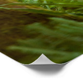 ブルルーズベルトエルク ポスター (角)