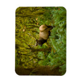 ブルルーズベルトエルク マグネット (縦)