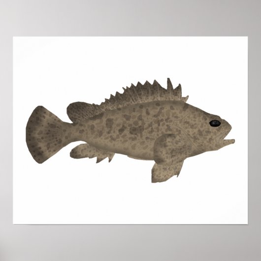 ブルロウト ポスター (正面)