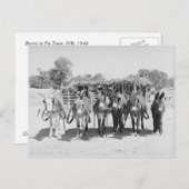 ブルロス ポストカード (正面/裏面)