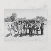 ブルロス ポストカード (正面)