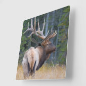 ブルロッキーマウンテンエルク スクエア壁時計 (傾斜)