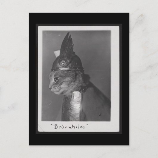 ブルンヒルデ子猫 ポストカード (正面)