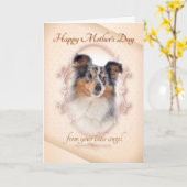 ブルーおもしろいメルルシェットランド・ シープドッグマザーズデイカード カード (黄色い花)