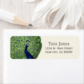 ブルーかわいらしグリーンヴィンテージ孔雀住所 シール (インサイチュ)