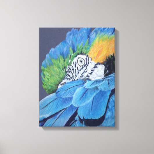 ブルーと金ゴールドマコー キャンバスプリント (正面)