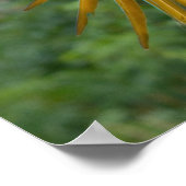 ブルーと金ゴールドマコー ポスター (角)